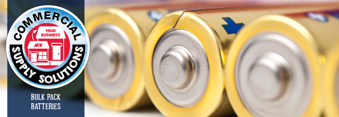 Commercial Bulk Batteries - Great Lakes Ace Hardware Store Header