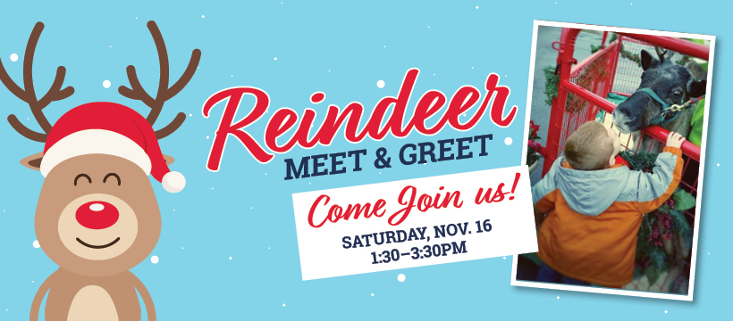 Reindeer Meet & Greet - Holiday Fun - Fostoria, OH - Great Lakes Ace Hardware Store Header