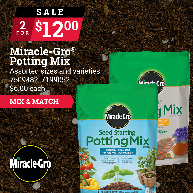 6 Qt. Miracle-Gro® Indoor Potting Mix