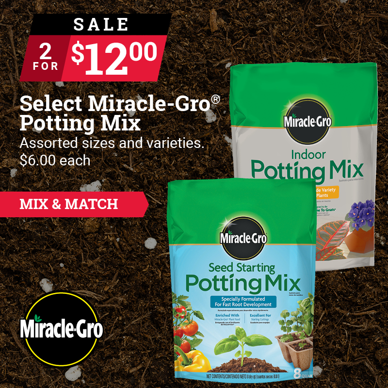 6 Qt. Miracle-Gro® Indoor Potting Mix