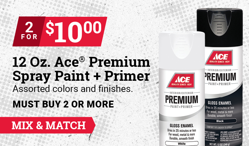 12 Oz. Ace Premium Gloss White Paint And Primer Spray