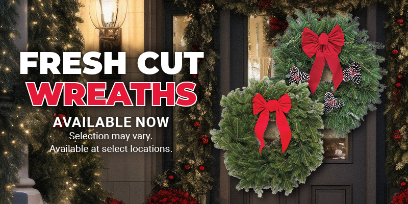 Fresh Cut Wreaths