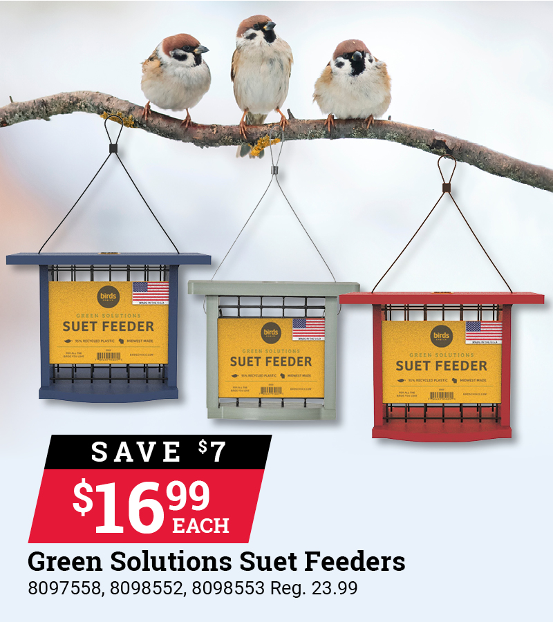 Green Solutions Suet Feeders