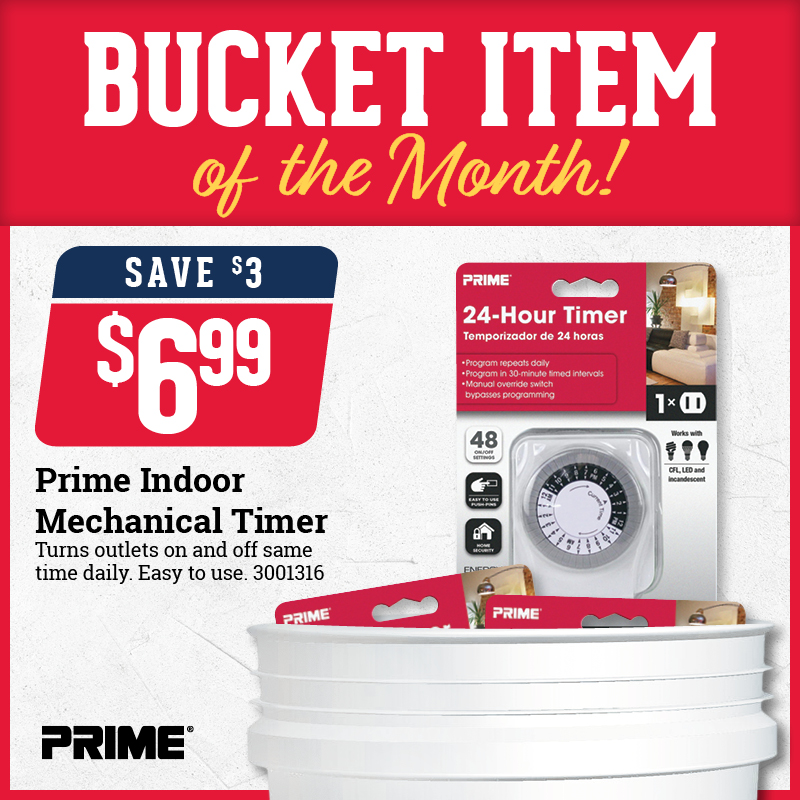 Bucket Item of the Month