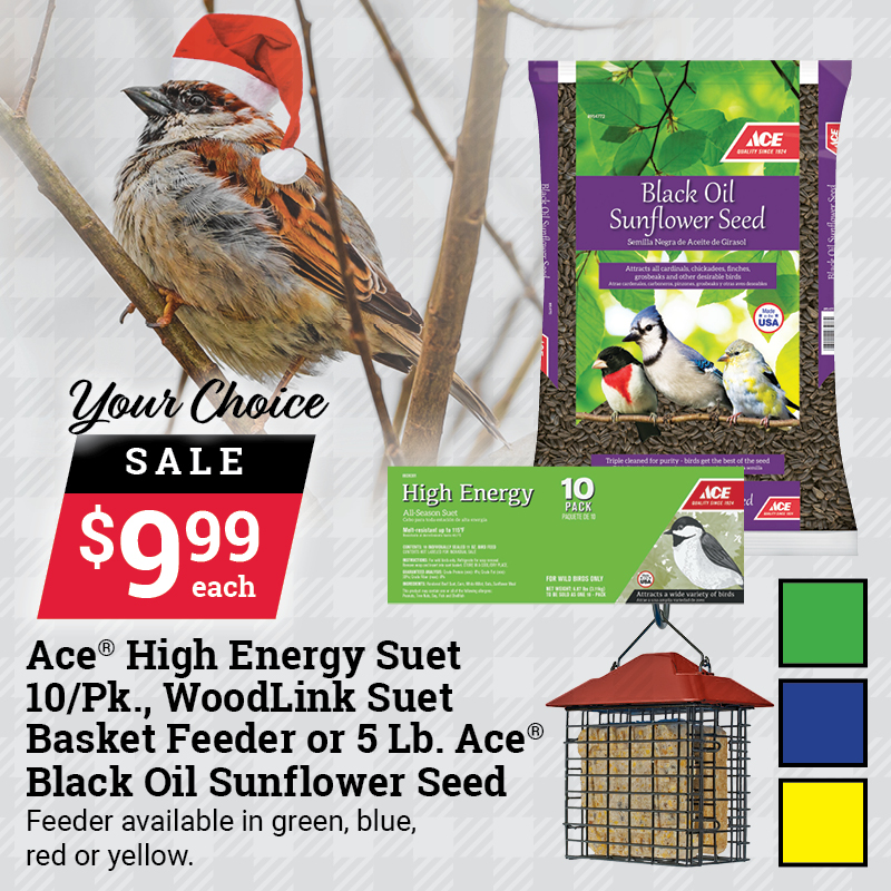 10 Pk. Ace High Energy All Season Suet