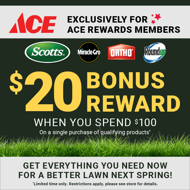 Ace Rewards Exclusive - $20 Bonus Reward