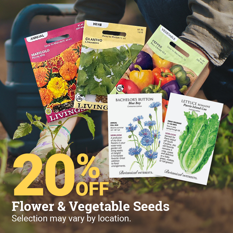 20% Off Flower & Vegetable Seeds