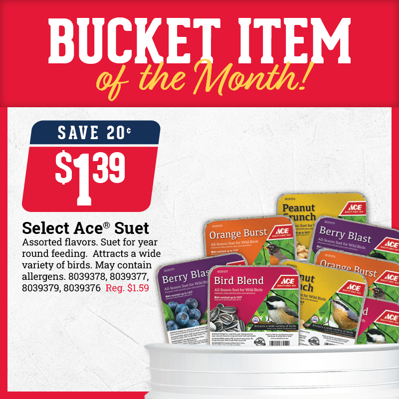 Bucket Item of the Month