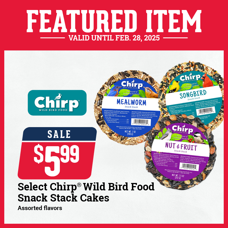 GLA Chirp Snack Stack Cakes