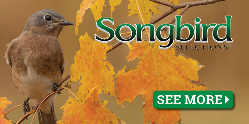 Select 5 Lb. Songbird Selections® Wild Bird Food